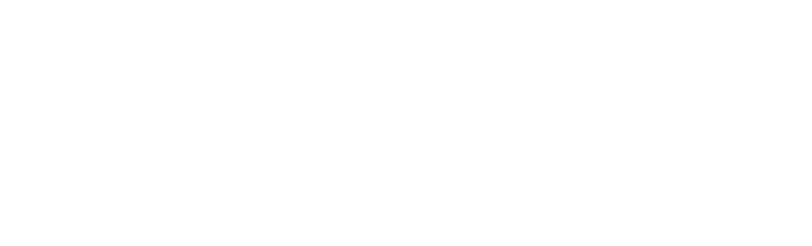 Logo ASS Weiß