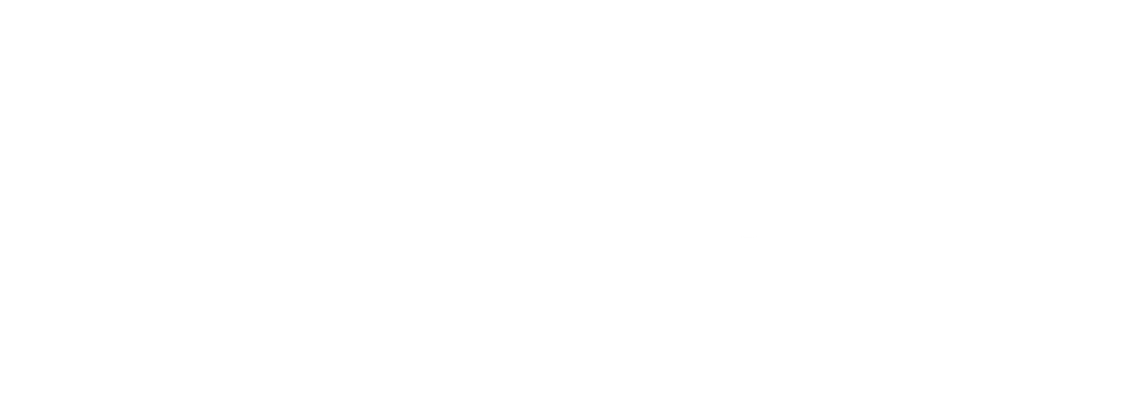 TelemaxX Kundencenter Logo Weiß